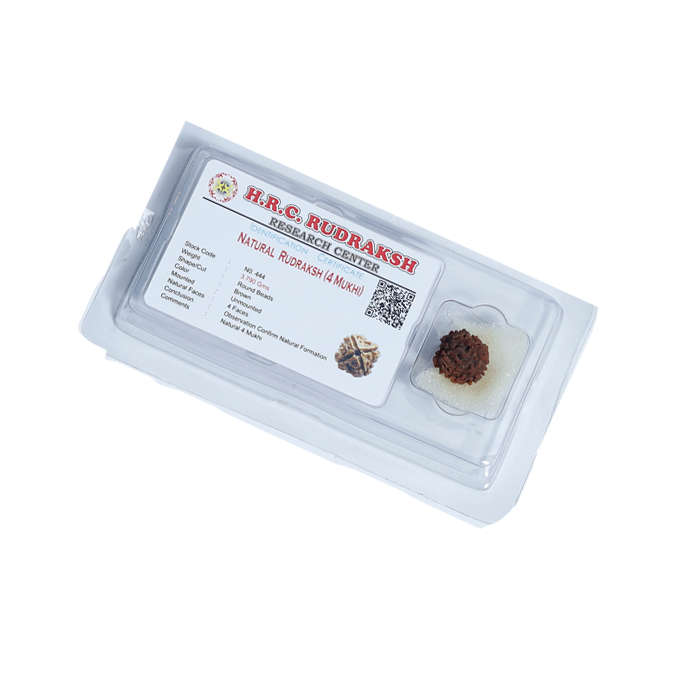 4 Mukhi Rudraksha