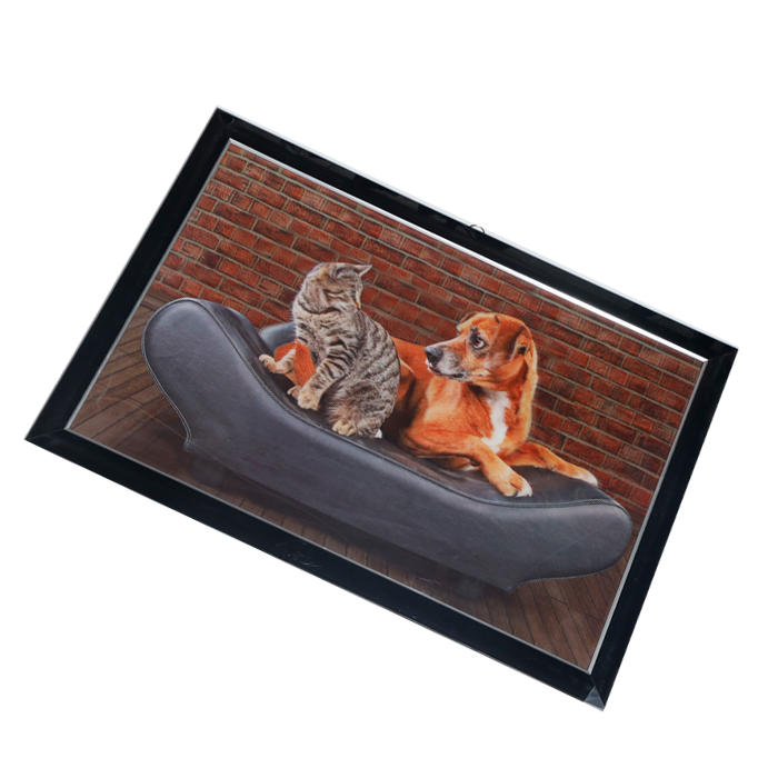 Dog And Cat Photo Frame - 17 × 25 Inches