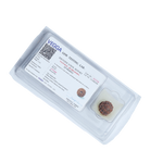 6Mukhi Rudraksha