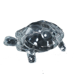 Crystal Kachhwa- 3 × 2Inches