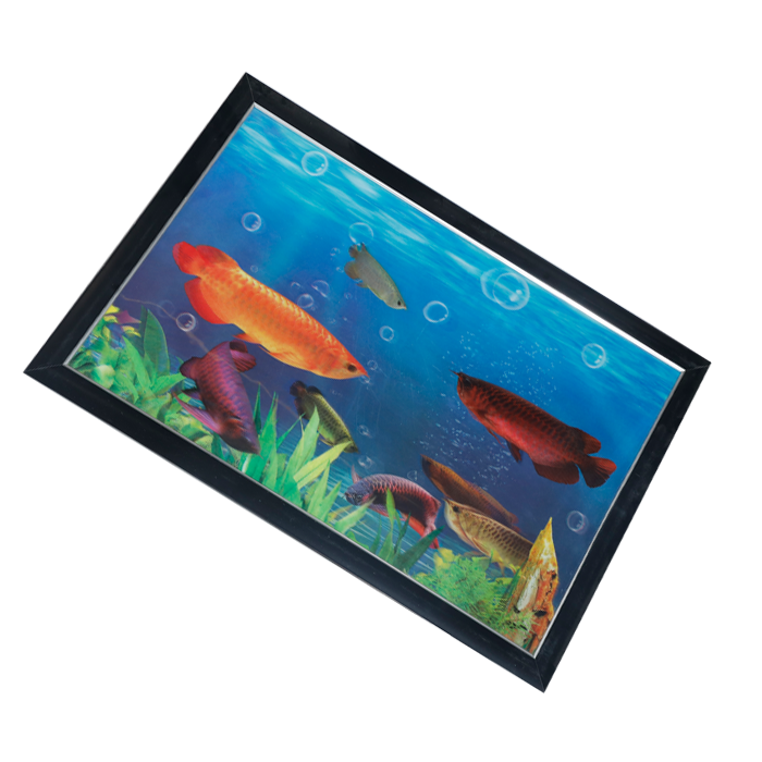 Fish Photo Frame - 17 × 25 Inches