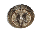 Antique Brass Turtle - 3 × 3Inches
