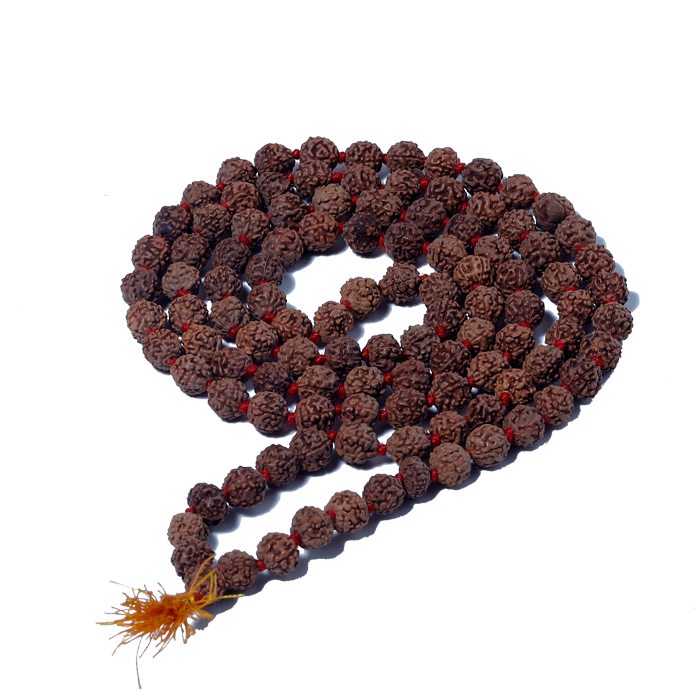 Rudraksha Mala (Mota Seeds)