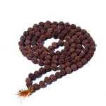 Rudraksha Mala (Mota Seeds)