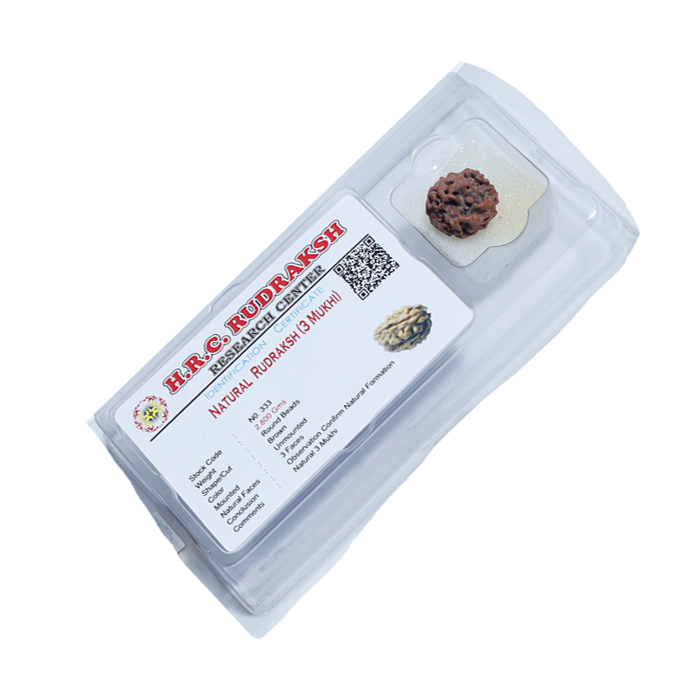 3 Mukhi Rudraksha