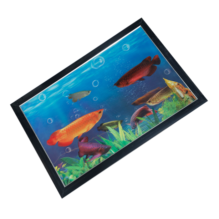Fish Photo Frame - 17 × 25 Inches