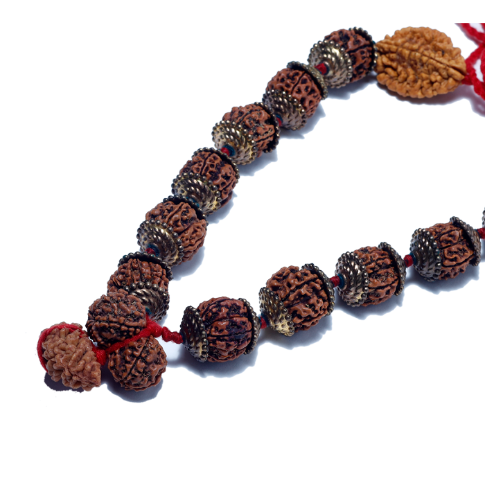 Rudraksha Mala (Mota Seeds)
