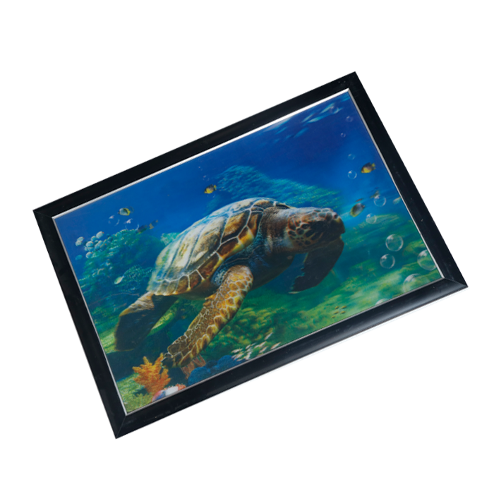Turtle Photo Frame - 17 × 25 Inches
