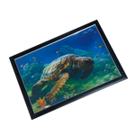 Turtle Photo Frame - 17 × 25 Inches