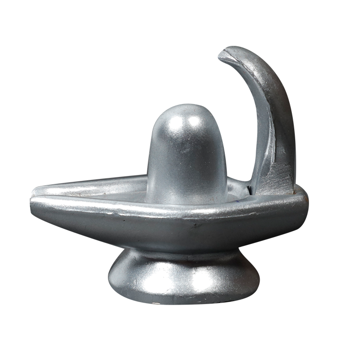 Para Shiv Ling Snake
