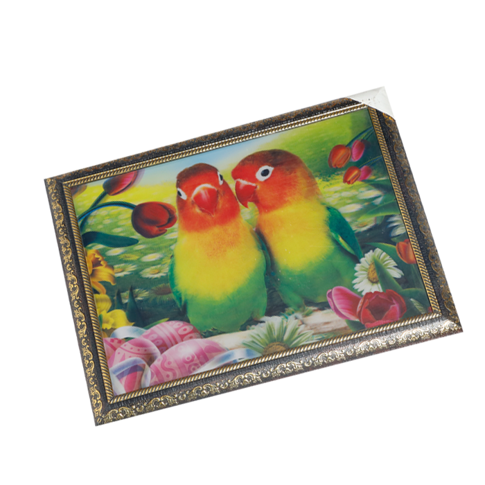 Parrot Painting 3D Photo Frame - 14 × 17 Inches