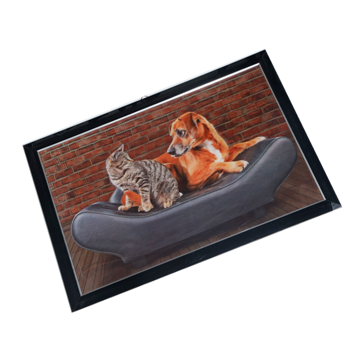 Dog And Cat Photo Frame - 17 × 25 Inches