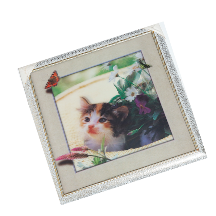 Cat 3D Photo Frame - 17 × 17 Inches