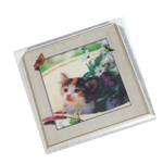 Cat 3D Photo Frame - 17 × 17 Inches