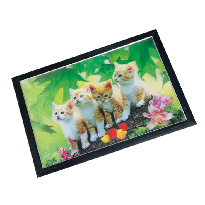 Cat Photo Frame - 17 × 25 Inches