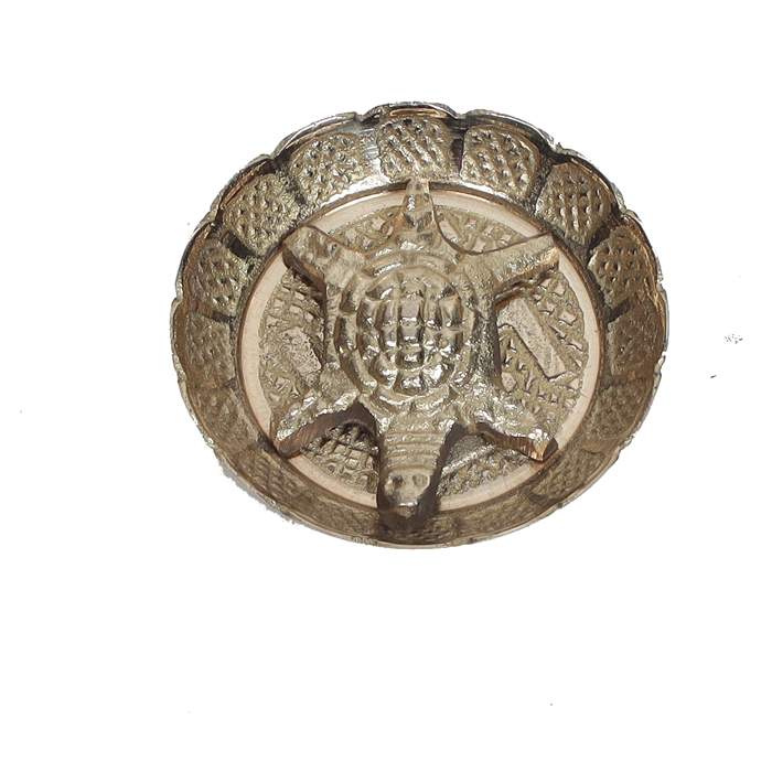 Antique Brass Turtle - 2 × 2Inches