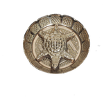Antique Brass Turtle - 2 × 2Inches