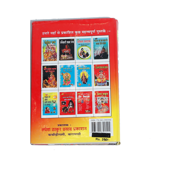 Vrindavan shopi Rupesh Mantr Sagar Book