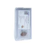 2 Mukhi Rudraksha