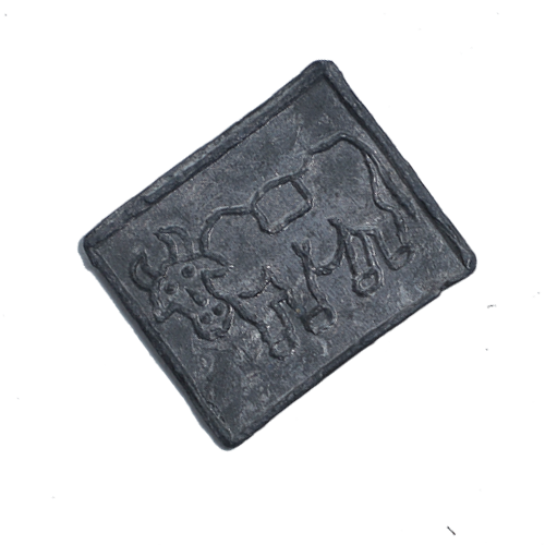 Copper Square Coin of Apollodotusv - 1.4 × 1.4 Inches