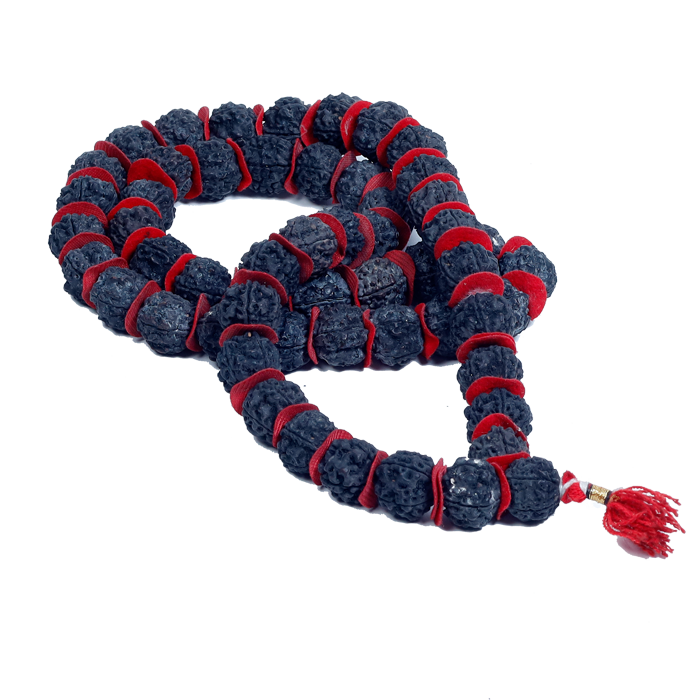 Rudraksha Mala (Thick Black Seeds)