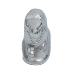 Para Nandi