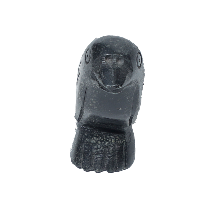 Raven Fetish Carving by Hayes Leekya -1.5 × 3.7 Inches