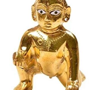 Laddu Gopal Idol