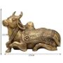 Nandi Idol